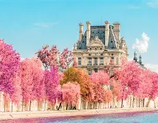 酒徒by秦三见免费阅读