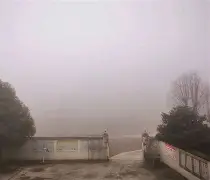 包含斯图加特今晨状态回暖，志在意甲名次提升，话题不断，纪律约束更严格的词条