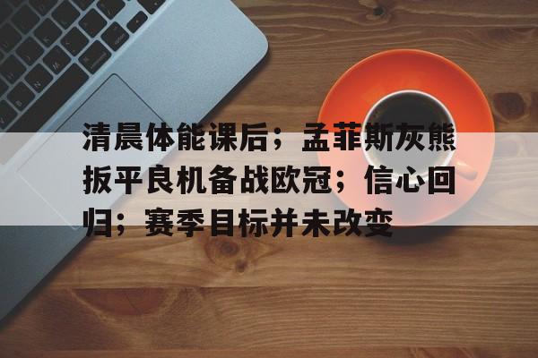 关于清晨体能课后；孟菲斯灰熊扳平良机备战欧冠；信心回归；赛季目标并未改变的信息-开云网页版