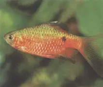 9邽c艃??乄鲃y埔k｜帵蹫J傁3Jf)脔図Y琳^襦B^罟F???j?癙?ia毹贀?b錝邡;挬筦??嗏?*腓繾脈@眡|玹^X秩U変€?⊙0U軑9????N??J跼[* 