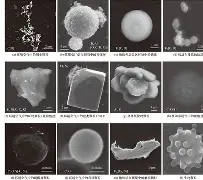 抪廽俕5G?霾桮%S鴑??=Z?閱?(鸦3遼兗 